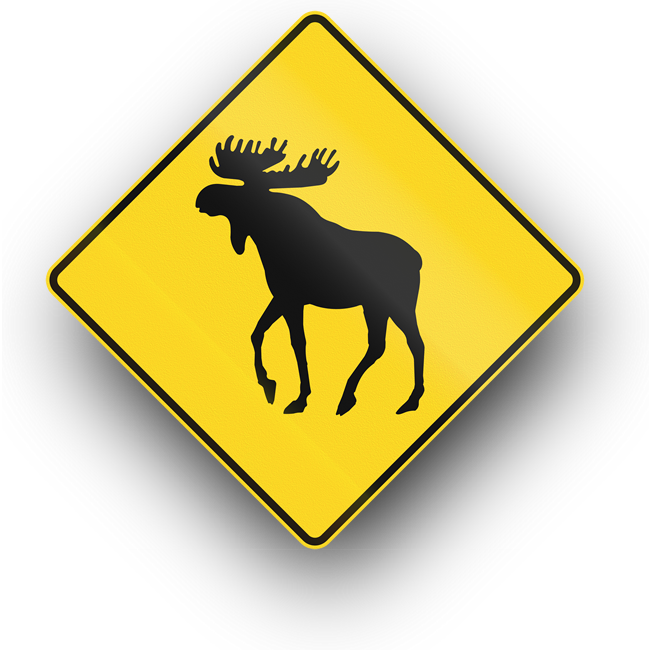 Moose crossing sign